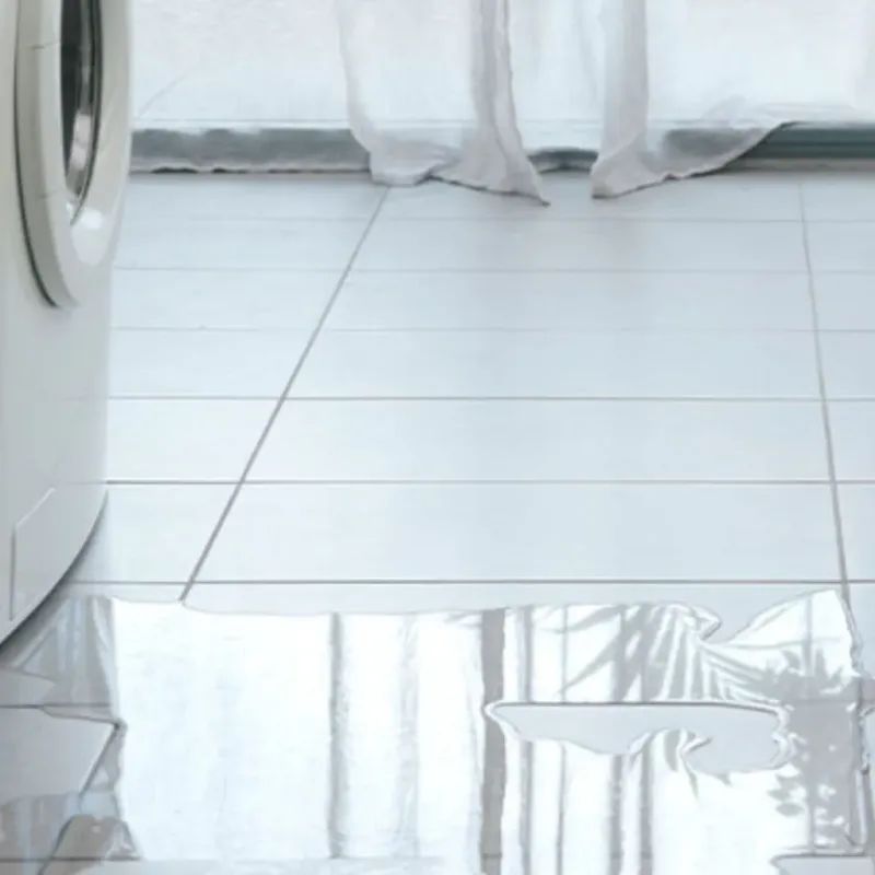 Appliance Leak Cleanup in Edinburg, TX