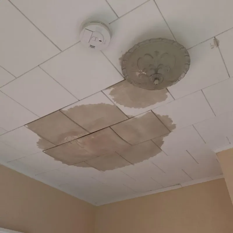 Ceiling Water Damage Repair in Edinburg, TX
